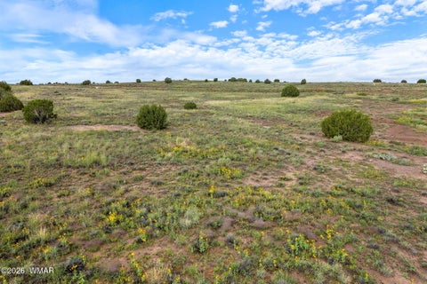 Tiny photo for 1191 W Pinedale Road, Taylor, AZ 85939 (MLS # 262343)