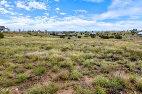 Tiny photo for 1191 W Pinedale Road, Taylor, AZ 85939 (MLS # 262343)