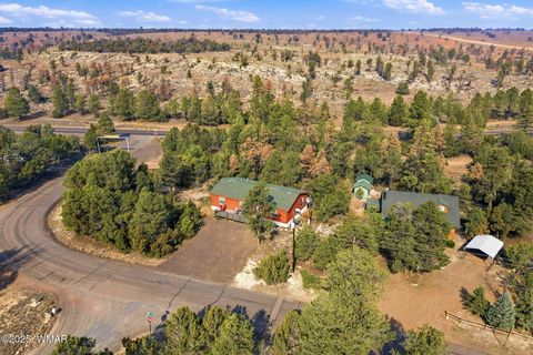 Photo of 3144 Tonto Drive, Overgaard, AZ 85933 (MLS # 258550)