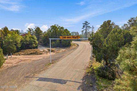 Tiny photo for 3144 Tonto Drive, Overgaard, AZ 85933 (MLS # 258550)