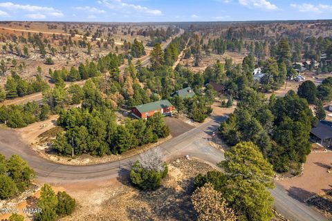 Tiny photo for 3144 Tonto Drive, Overgaard, AZ 85933 (MLS # 258550)