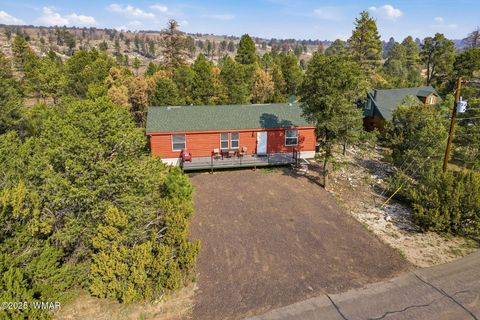 Tiny photo for 3144 Tonto Drive, Overgaard, AZ 85933 (MLS # 258550)
