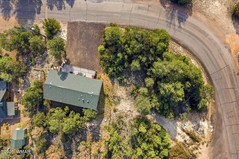 Tiny photo for 3144 Tonto Drive, Overgaard, AZ 85933 (MLS # 258550)