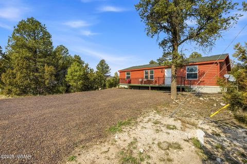 Tiny photo for 3144 Tonto Drive, Overgaard, AZ 85933 (MLS # 258550)