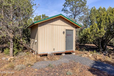 Tiny photo for 124 County Road N3077, Vernon, AZ 85940 (MLS # 260228)