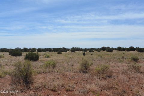 Tiny photo for 4962 Saddlehorn Road, Snowflake, AZ 85937 (MLS # 258731)