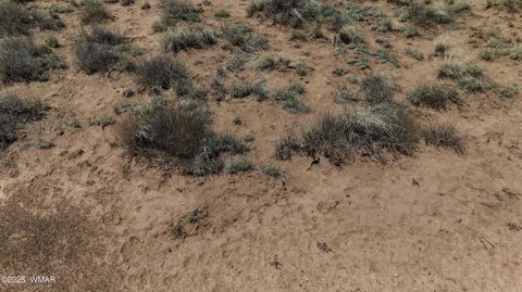 Tiny photo for 4962 Saddlehorn Road, Snowflake, AZ 85937 (MLS # 258731)