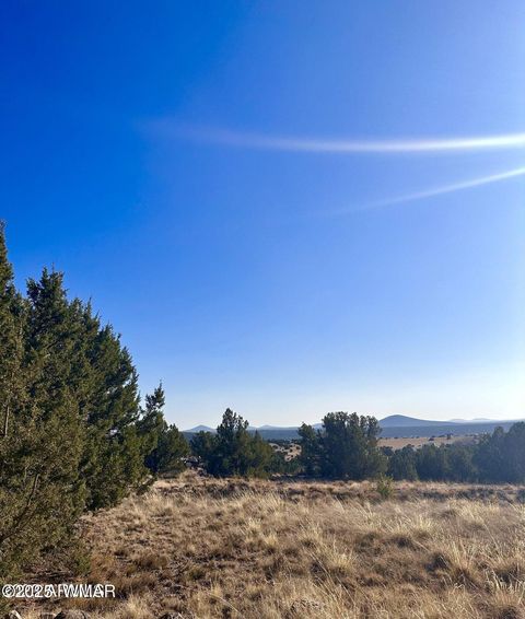 Photo of 14 County Road 8249, Concho, AZ 85924 (MLS # 255502)