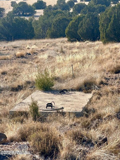Tiny photo for 14 County Road 8249, Concho, AZ 85924 (MLS # 255502)