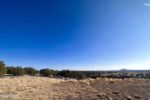 Tiny photo for 14 County Road 8249, Concho, AZ 85924 (MLS # 255502)