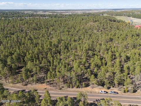 Tiny photo for TBD E Woolford, Show Low, AZ 85901 (MLS # 258238)