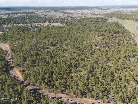 Tiny photo for TBD E Woolford, Show Low, AZ 85901 (MLS # 258238)
