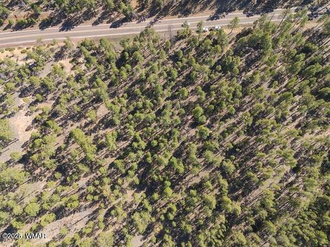 Tiny photo for TBD E Woolford, Show Low, AZ 85901 (MLS # 258238)