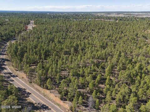 Tiny photo for TBD E Woolford, Show Low, AZ 85901 (MLS # 258238)