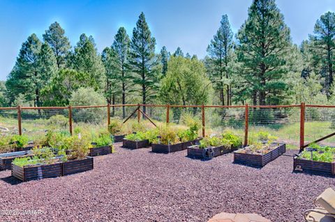 Tiny photo for 4520 W Tatanka Loop, Show Low, AZ 85901 (MLS # 259992)