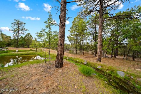 Tiny photo for 4401 W Shaggy Bark Road, Show Low, AZ 85901 (MLS # 261756)