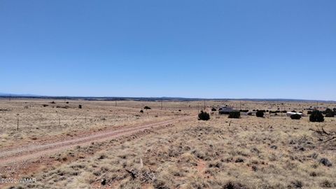 Tiny photo for 3716 Thomas Road, Heber, AZ 85928 (MLS # 255581)