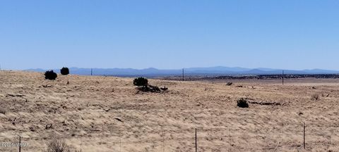 Tiny photo for 3716 Thomas Road, Heber, AZ 85928 (MLS # 255581)