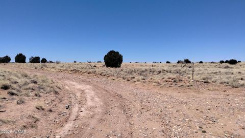 Photo of 3716 Thomas Road, Heber, AZ 85928 (MLS # 255581)