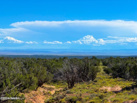 Tiny photo for TBD Co Rd N7480 40 Acres, Saint Johns, AZ 85936 (MLS # 263448)