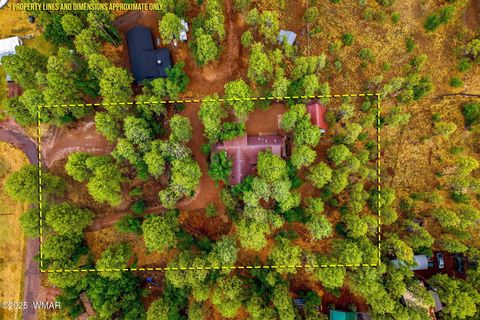 Tiny photo for 2444 S Jan Lane, Pinetop, AZ 85935 (MLS # 257005)