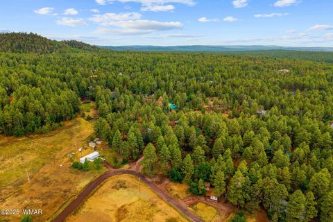 Tiny photo for 2444 S Jan Lane, Pinetop, AZ 85935 (MLS # 257005)