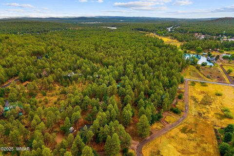 Tiny photo for 2444 S Jan Lane, Pinetop, AZ 85935 (MLS # 257005)