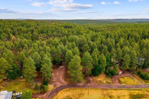 Tiny photo for 2444 S Jan Lane, Pinetop, AZ 85935 (MLS # 257005)