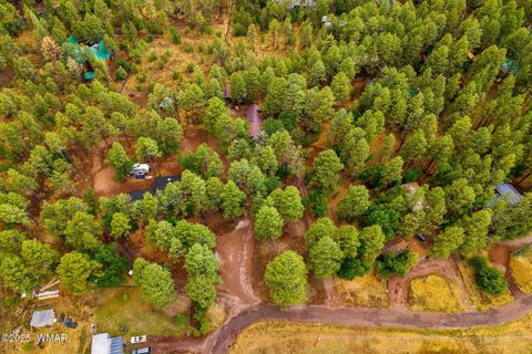 Tiny photo for 2444 S Jan Lane, Pinetop, AZ 85935 (MLS # 257005)