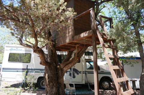 Tiny photo for 6066 Wagon Wheel Road, Lakeside, AZ 85929 (MLS # 261281)