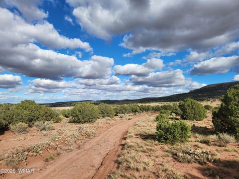 Tiny photo for Lot 18 N8612, Concho, AZ 85924 (MLS # 259348)