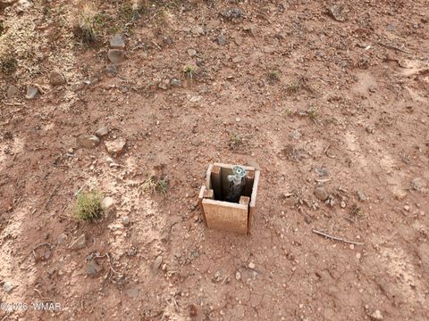 Tiny photo for Lot 18 N8612, Concho, AZ 85924 (MLS # 259348)