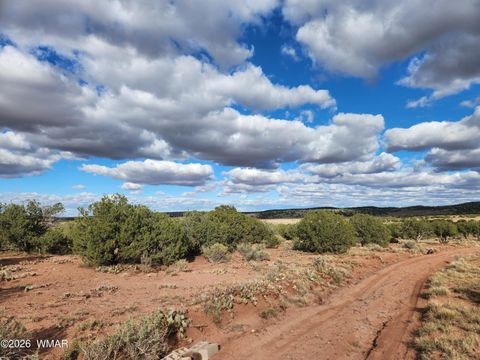 Tiny photo for Lot 18 N8612, Concho, AZ 85924 (MLS # 259348)