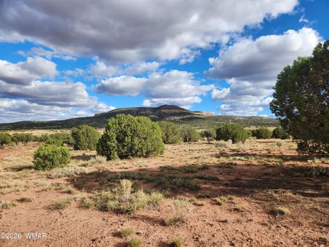 Tiny photo for Lot 18 N8612, Concho, AZ 85924 (MLS # 259348)
