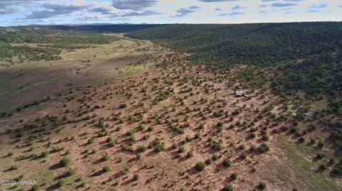 Tiny photo for Lot 18 N8612, Concho, AZ 85924 (MLS # 259348)