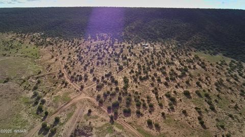 Tiny photo for Lot 18 N8612, Concho, AZ 85924 (MLS # 259348)