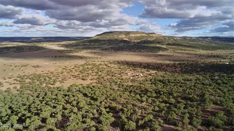 Tiny photo for Lot 18 N8612, Concho, AZ 85924 (MLS # 259348)