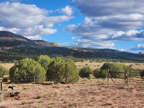 Tiny photo for Lot 18 N8612, Concho, AZ 85924 (MLS # 259348)