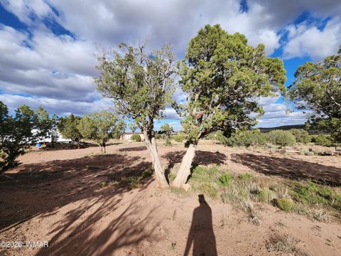 Tiny photo for Lot 18 N8612, Concho, AZ 85924 (MLS # 259348)