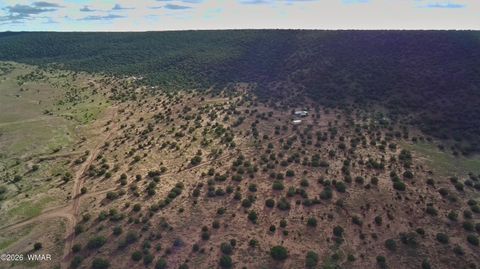 Tiny photo for Lot 18 N8612, Concho, AZ 85924 (MLS # 259348)