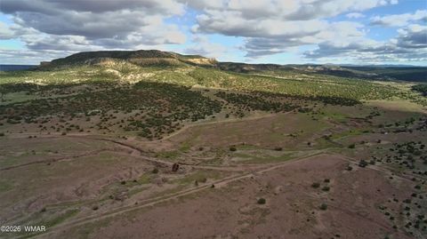 Tiny photo for Lot 18 N8612, Concho, AZ 85924 (MLS # 259348)