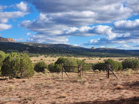 Tiny photo for Lot 18 N8612, Concho, AZ 85924 (MLS # 259348)