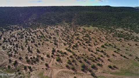 Tiny photo for Lot 18 N8612, Concho, AZ 85924 (MLS # 259348)