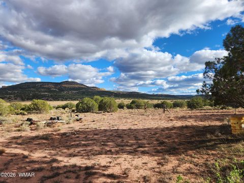 Tiny photo for Lot 18 N8612, Concho, AZ 85924 (MLS # 259348)