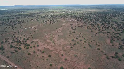 Tiny photo for Lot 18 N8612, Concho, AZ 85924 (MLS # 259348)