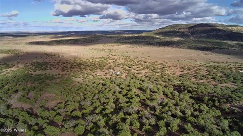 Tiny photo for Lot 18 N8612, Concho, AZ 85924 (MLS # 259348)