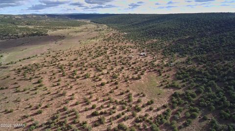 Tiny photo for Lot 18 N8612, Concho, AZ 85924 (MLS # 259348)