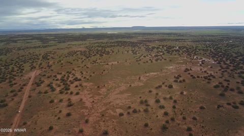 Tiny photo for Lot 18 N8612, Concho, AZ 85924 (MLS # 259348)