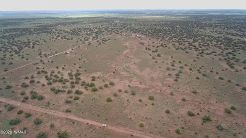 Tiny photo for Lot 18 N8612, Concho, AZ 85924 (MLS # 259348)