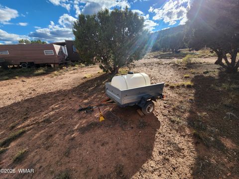 Tiny photo for Lot 18 N8612, Concho, AZ 85924 (MLS # 259348)